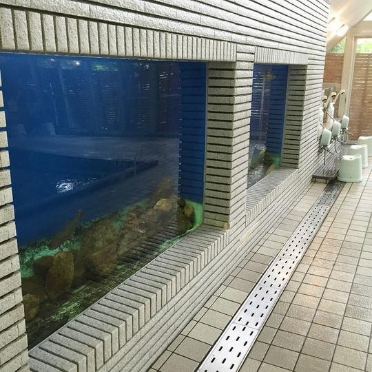 Kankoso Katashina Экстерьер фото